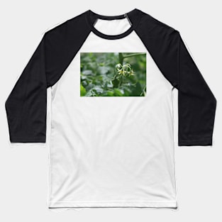 Green Tomato and New Blooms Photographic Image Baseball T-Shirt